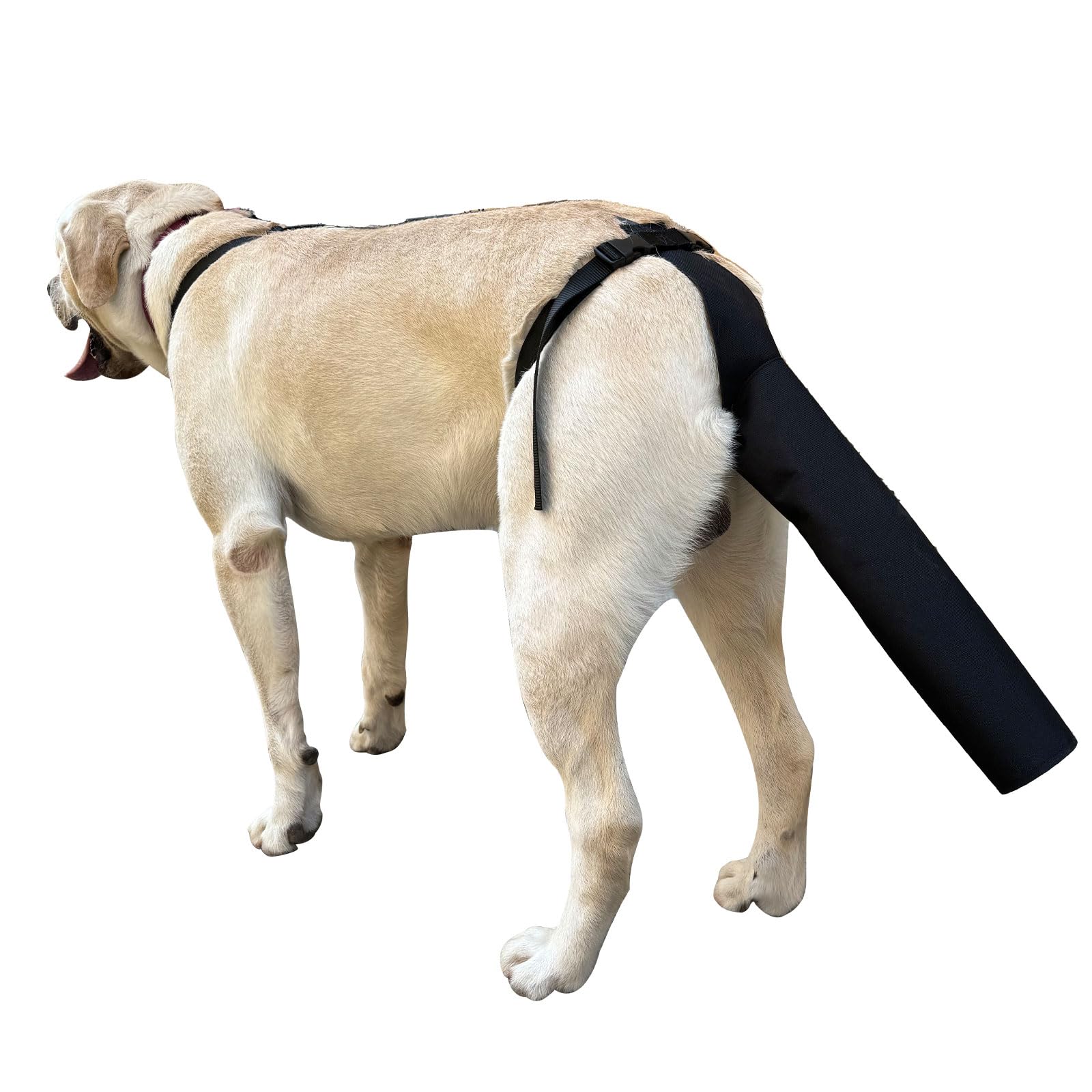 Barkable Tail Guard — Wound Protection Sleeve