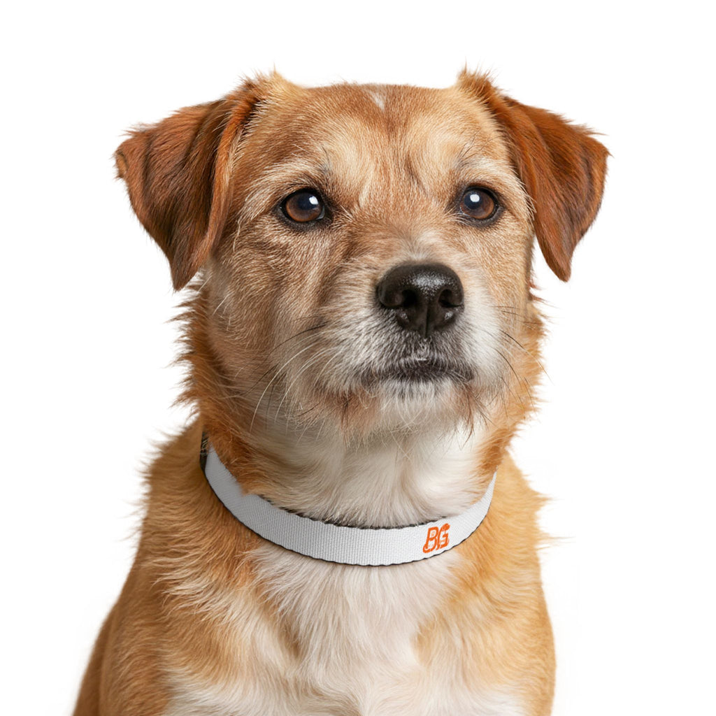 Barkable Clip-On Collar — Custom Embroidered Initials