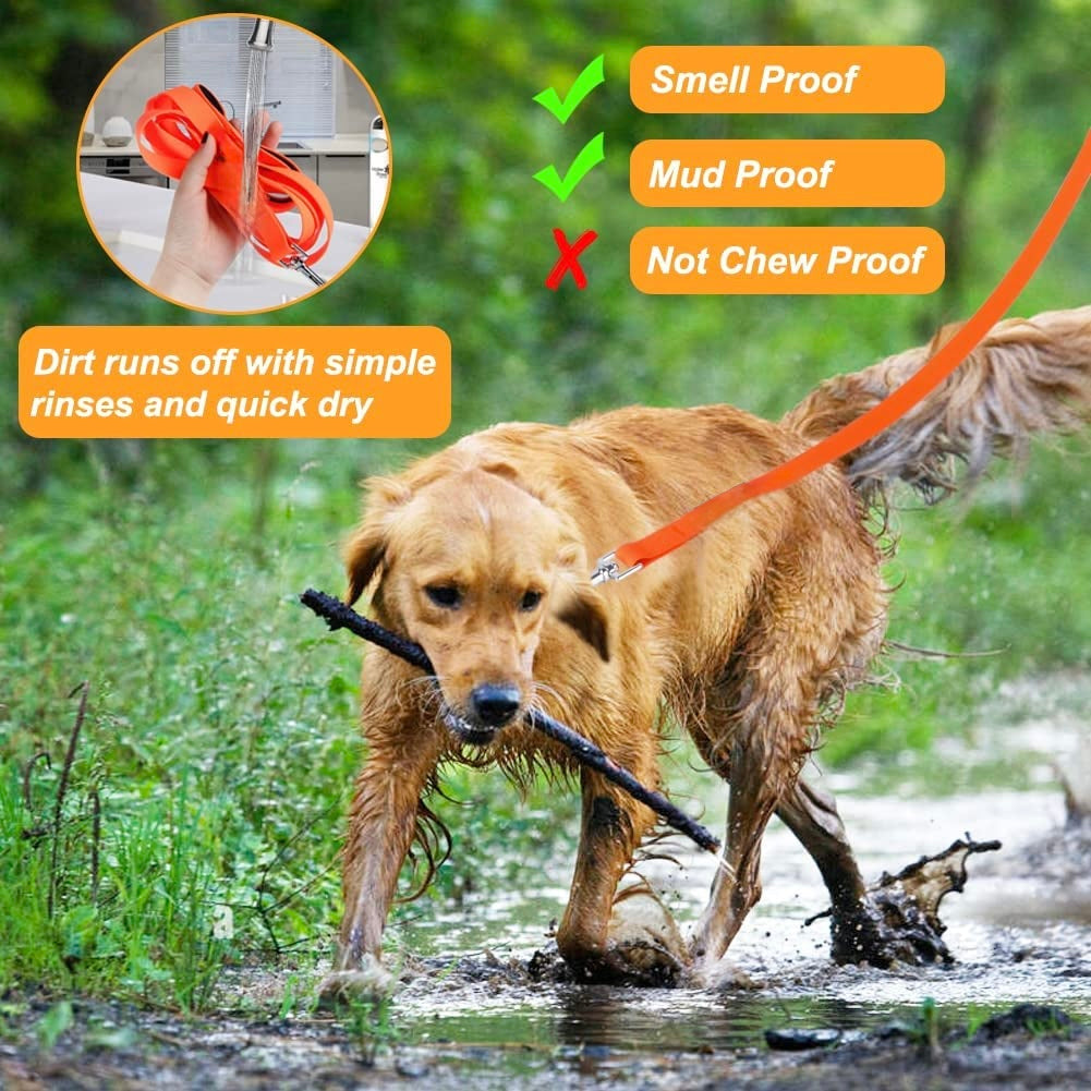 Barkable Waterproof Leash — 5 ft, Army Green