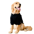 Barkable Fall Dog Sweater — Big Breeds, 55-66 lb