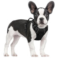 Barkable Oxford Vest Harness & Leash Set