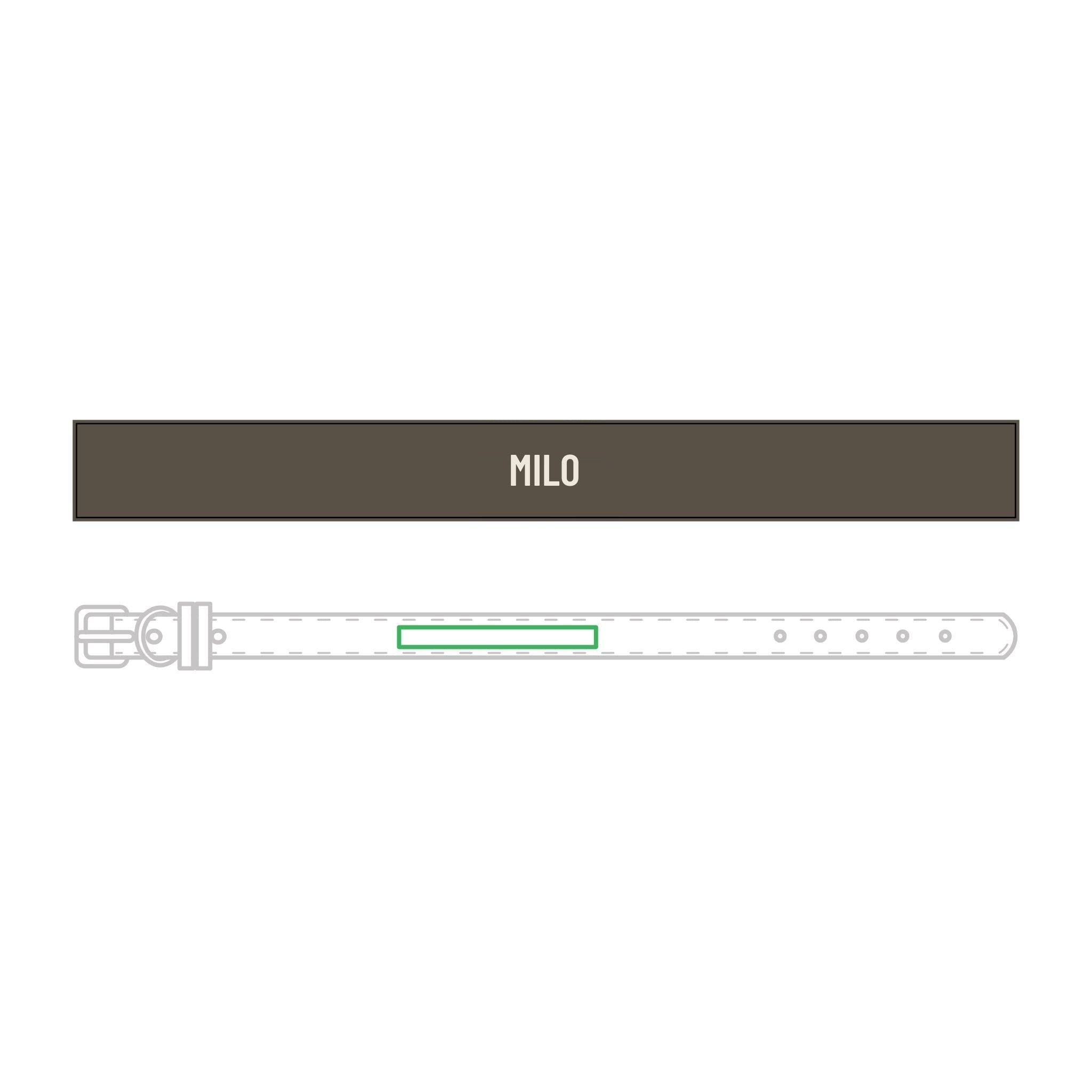 Engraved leather dog collar with the name MILO, example personalization