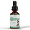 Quercetin for Dogs — Allergy Support Liquid, 1 fl oz